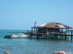 andros1