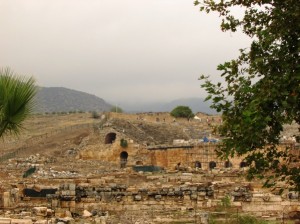 pamuk 1