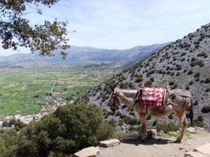 Platoul Lassithi 3