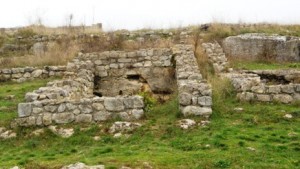 cervene 065