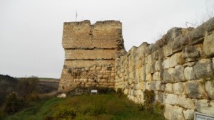 cervene 104
