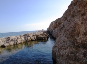 IMG_0127
