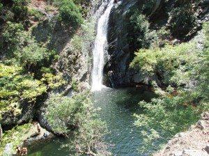 IMG_7859