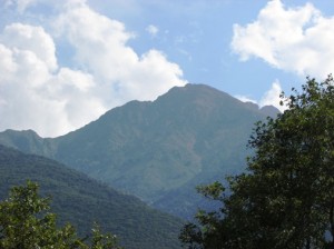 IMG_7947